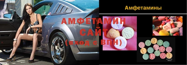 индика Гусев