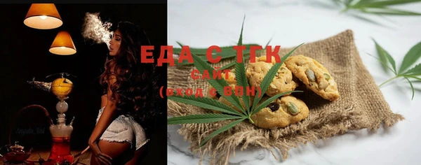 индика Гусев