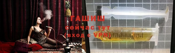 гашик Гусь-Хрустальный