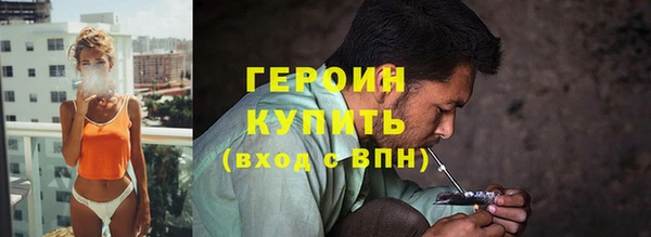 индика Гусев