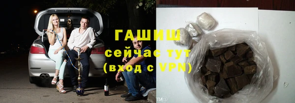 гашик Гусь-Хрустальный