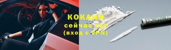 индика Гусев