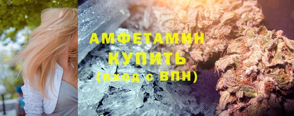 индика Гусев
