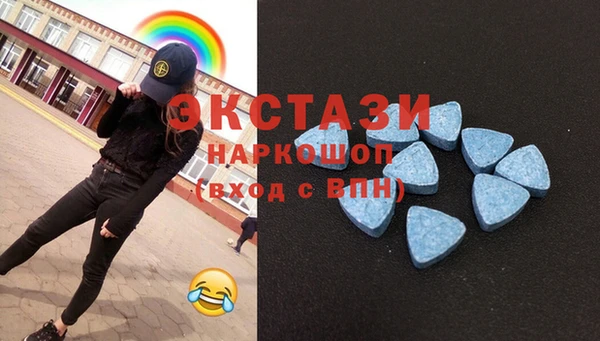 индика Гусев