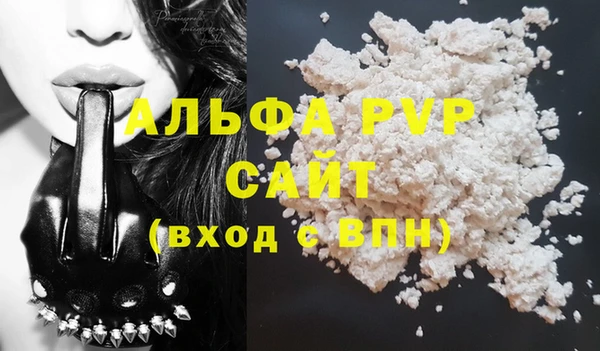 индика Гусев