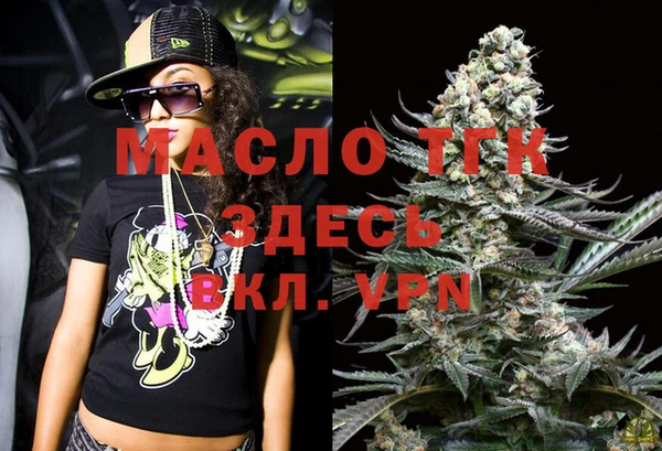 гашик Дмитров