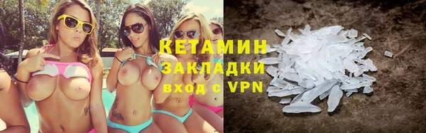индика Гусев