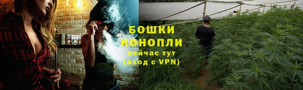 гашик Гусь-Хрустальный