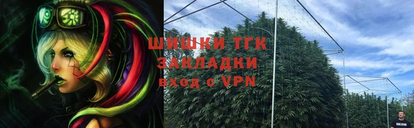 гидропоника Куровское