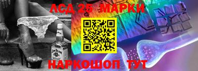стафф Камышлов