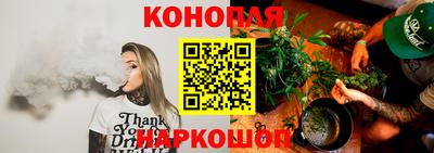 стафф Камышлов