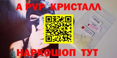стафф Камышлов