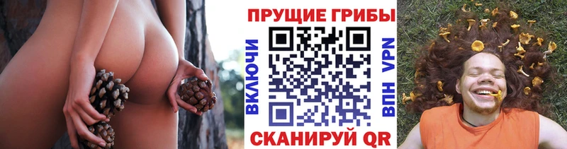 Псилоцибиновые грибы MAGIC MUSHROOMS  Рузаевка 