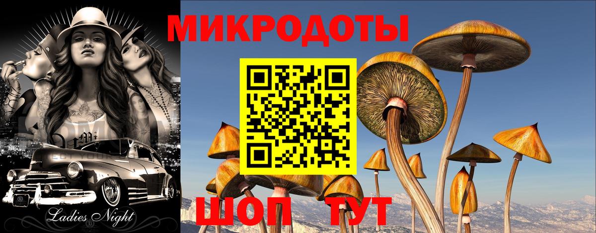 Галлюциногенные грибы мухоморы Рузаевка