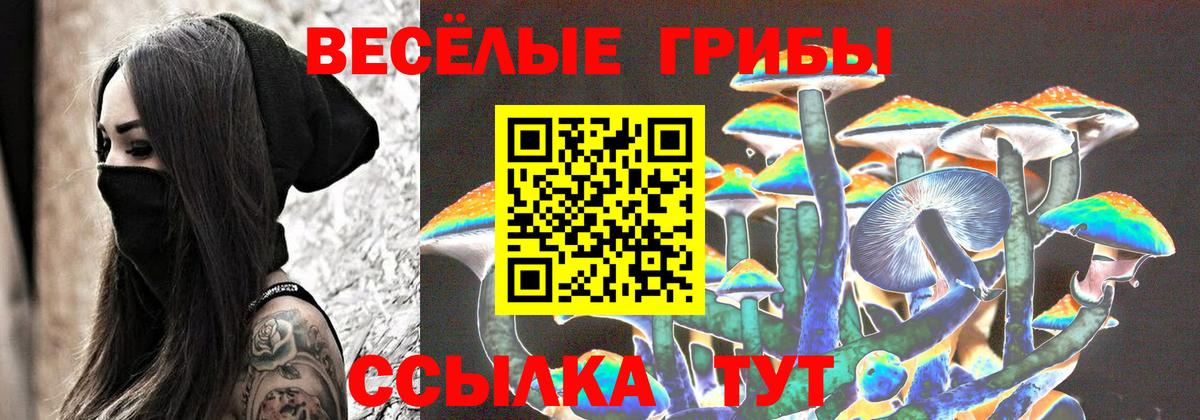 Псилоцибиновые грибы Cubensis Рузаевка