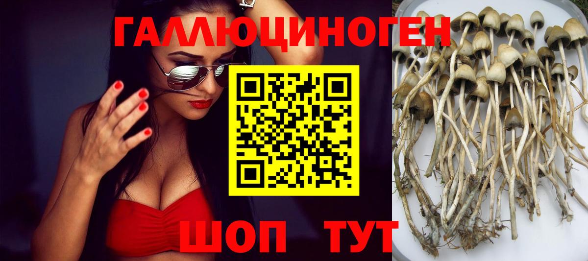 Рузаевка  Псилоцибиновые грибы мицелий  Вход с VPN 