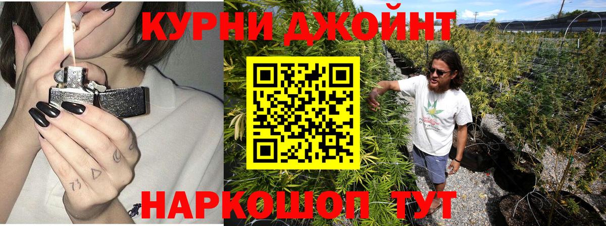 Бошки Шишки сатива  Рузаевка  Бошки Шишки сатива  Бошки Шишки сатива  Бошки Шишки сатива  Бошки Шишки сатива 